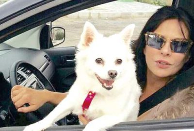 Aydan’ın Deyzi’si