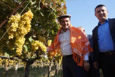 Milletvekili Baybatur, Sarıgöl’de Bağ Bozumuna Katıldı