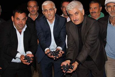 Başkan Asa: ‘Kotayı üretici bitirecek’