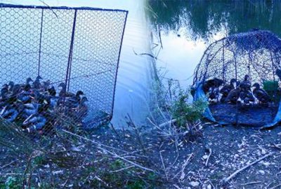 Bursa’da kaçak avcılara geçit yok