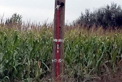 Bursa’da jandarmayı harekete geçiren ihbar