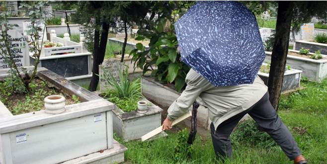 Mezarlıkta 10 günlük bebek bulundu