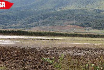 4 bin 500 dönüm mahsul sular altında kaldı