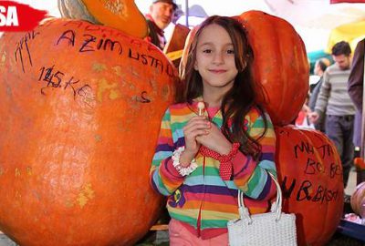 Bu kabağı görenler hayrete düşüyor