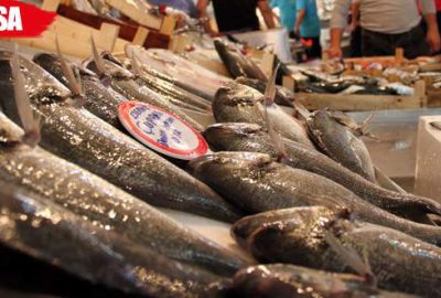 Demirtaş Baraj Gölü’ndeki avlama hakkı kiraya veriliyor