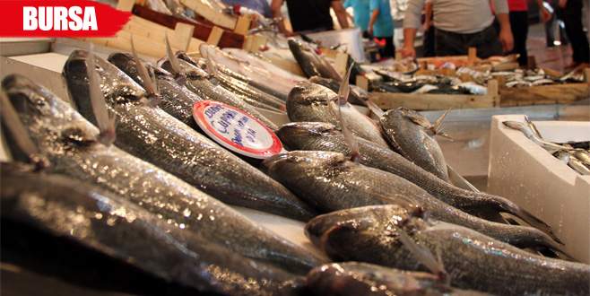 Demirtaş Baraj Gölü’ndeki avlama hakkı kiraya veriliyor