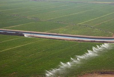 GAP’ın bütçesi son 10 yılda 5 kat arttı