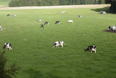 Mera yönetmeliği değişti