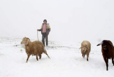 Aniden bastırdı, kent beyaza büründü