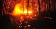 Bursa’da orman yangını