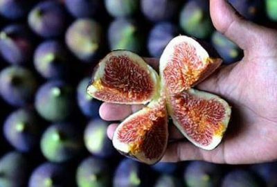 ‘Bursa Siyahı’nda rekor fiyat