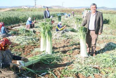 Kışlık sebze bereketi