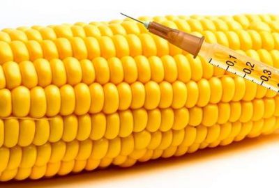 GDO’lu ürünlere izin çıktı