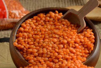 Kırmızı mercimekte ekim zamanı