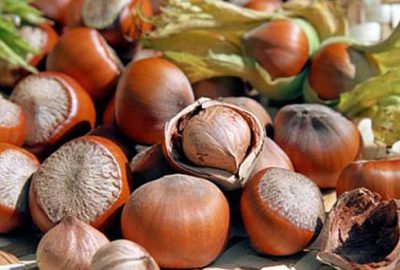 Fındık ihracatında büyük artış