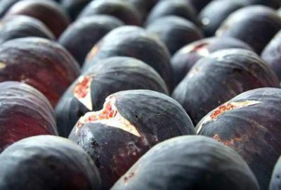 ‘Bursa siyahı’ ile hiç kimse rekabet edemiyor