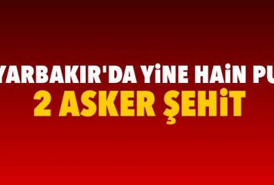 Lice’de hain saldırı: 2 şehit