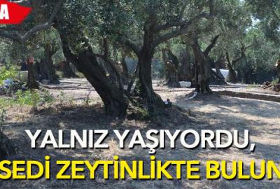 Yalnız yaşayan adamın cesedi zeytinlikte bulundu