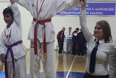 Arı Gençlik Hizmetleri Spor Kulübü Madalyaları Topluyor