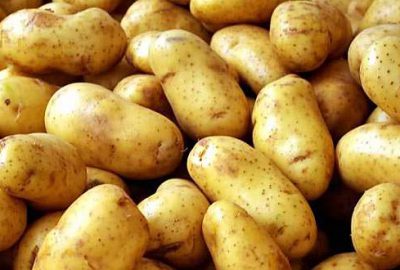 Vatandaşa müjde! Kilosu 1 liraya düştü