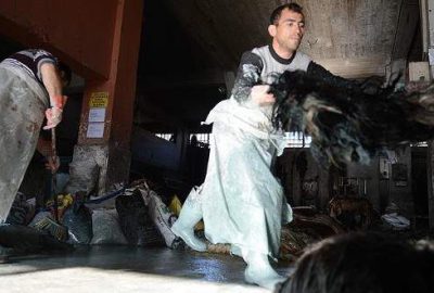 Mobilyadan halıya, ayakkabıdan giyim sektörüne kadar birçok alanda kullanılan deriler,