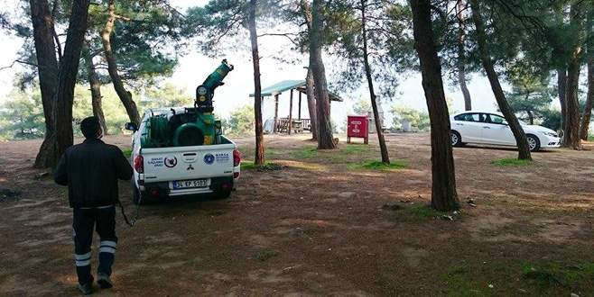 Bursa’da ‘zararlı’ mücadelesi
