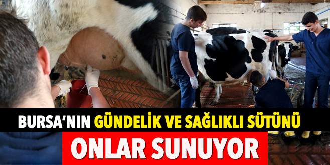Asırlık liseden ‘günlük süt’