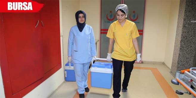 Yaşlı adamın organları 3 kişiye hayat verecek