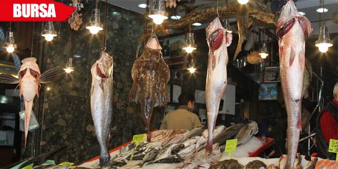 Dev mezgitler şaşırtıyor