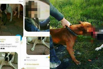 Genç kıza rekor ceza!