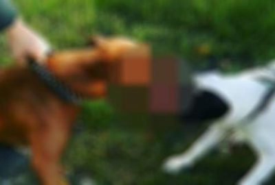 İşkenceye rekor ceza