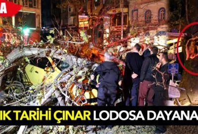 Bursa’da lodos dehşeti!