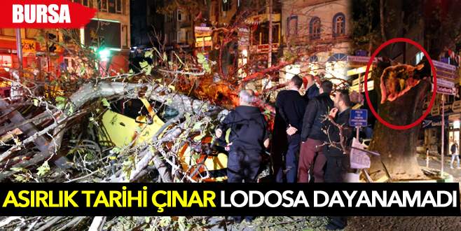 Bursa’da lodos dehşeti!
