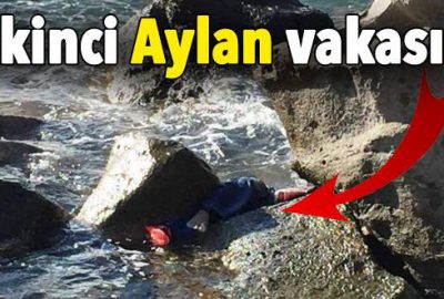 Günün en acı fotoğrafı Bodrum’dan