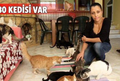 Kedisi ‘tecavüz’e uğrayınca…