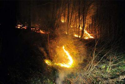 Bursa’daki orman yangını tamamen söndürüldü