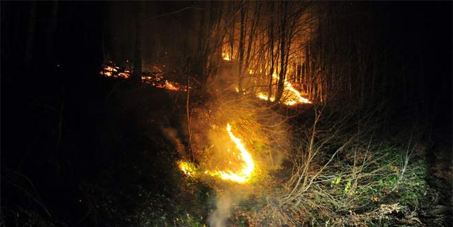 Bursa’daki orman yangını tamamen söndürüldü
