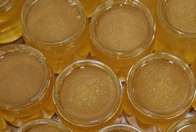 Dünyanın çam balını Türkiye üretiyor