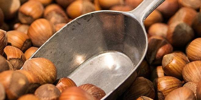 Türk fındığı Çin’de tanıtıldı Türk fındığı Çin’de tanıtıldı