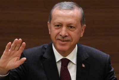 Cumhurbaşkanı Erdoğan zeytin hasadına katılacak
