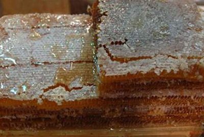 Bal üretiminde büyük düşüş