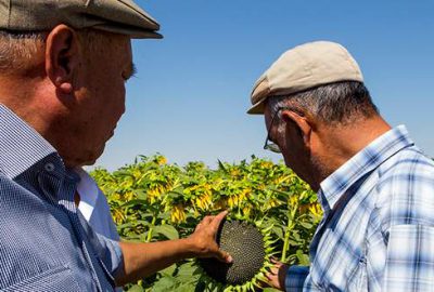‘Bitkiye özel gübre’ umutları artırdı