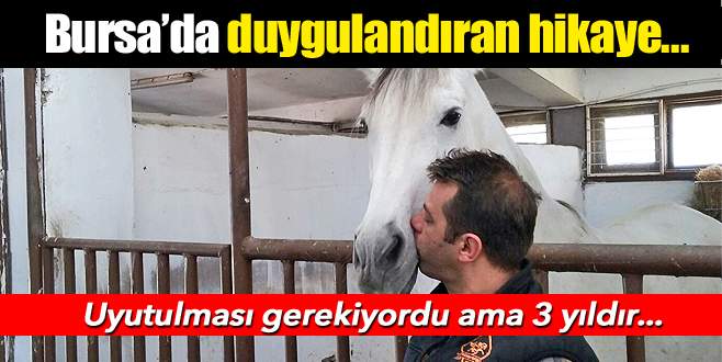 ‘Borahan’ın uyutulmasına gönlümüz el vermiyor’