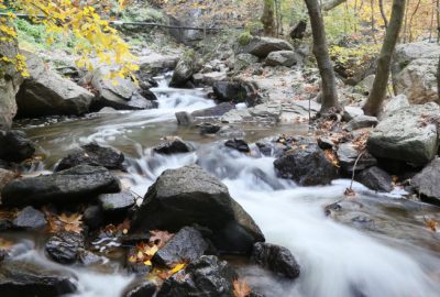 ‘Sadağı Kanyonu’nda sonbahar