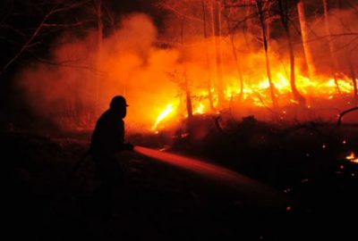Bursa’da orman yangını