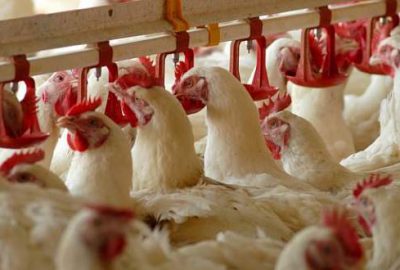 Ukrayna’dan Türkiye’ye destek