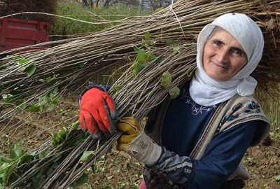 Türkiye’de sadece Bursa’da yapılıyor, yıllık getirisi ise 3 milyon lira