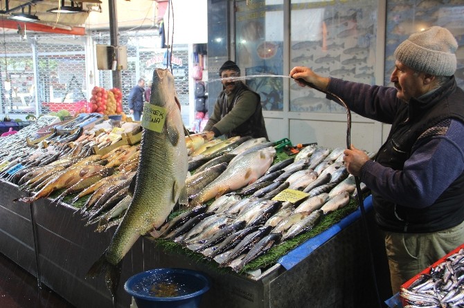 Elazığ’da Dev Turna Balığı Yakalandı