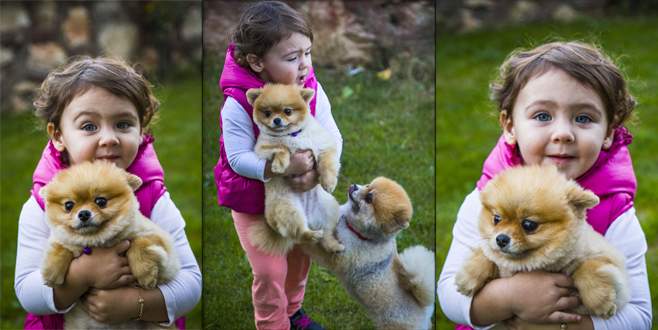 Bursa’da büyük ilgi görüyorlar…