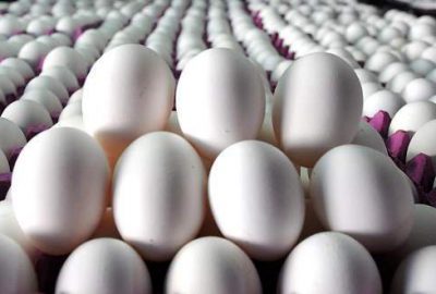 Yumurtaya zam yok